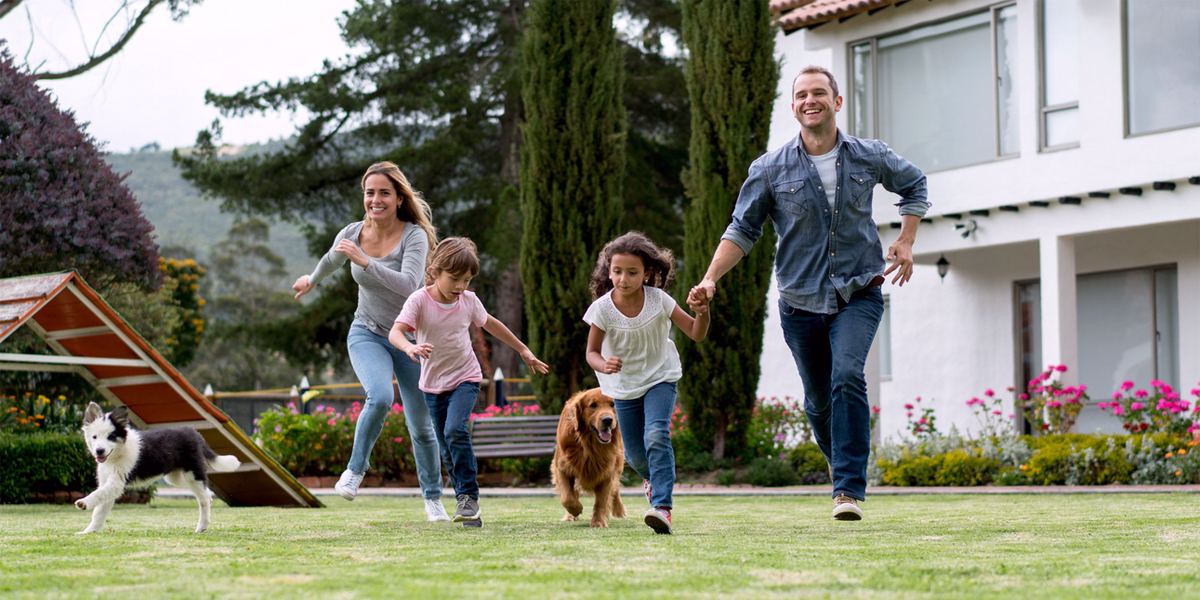 fairfield county dog adoption center and shelter employees personal information form