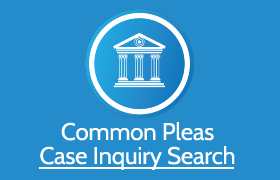 case search icon