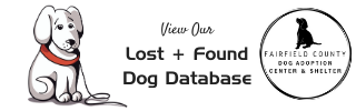 lost and found dog icon