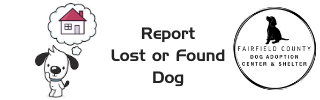 report lost dog ad