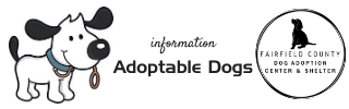 adoptable dog icon